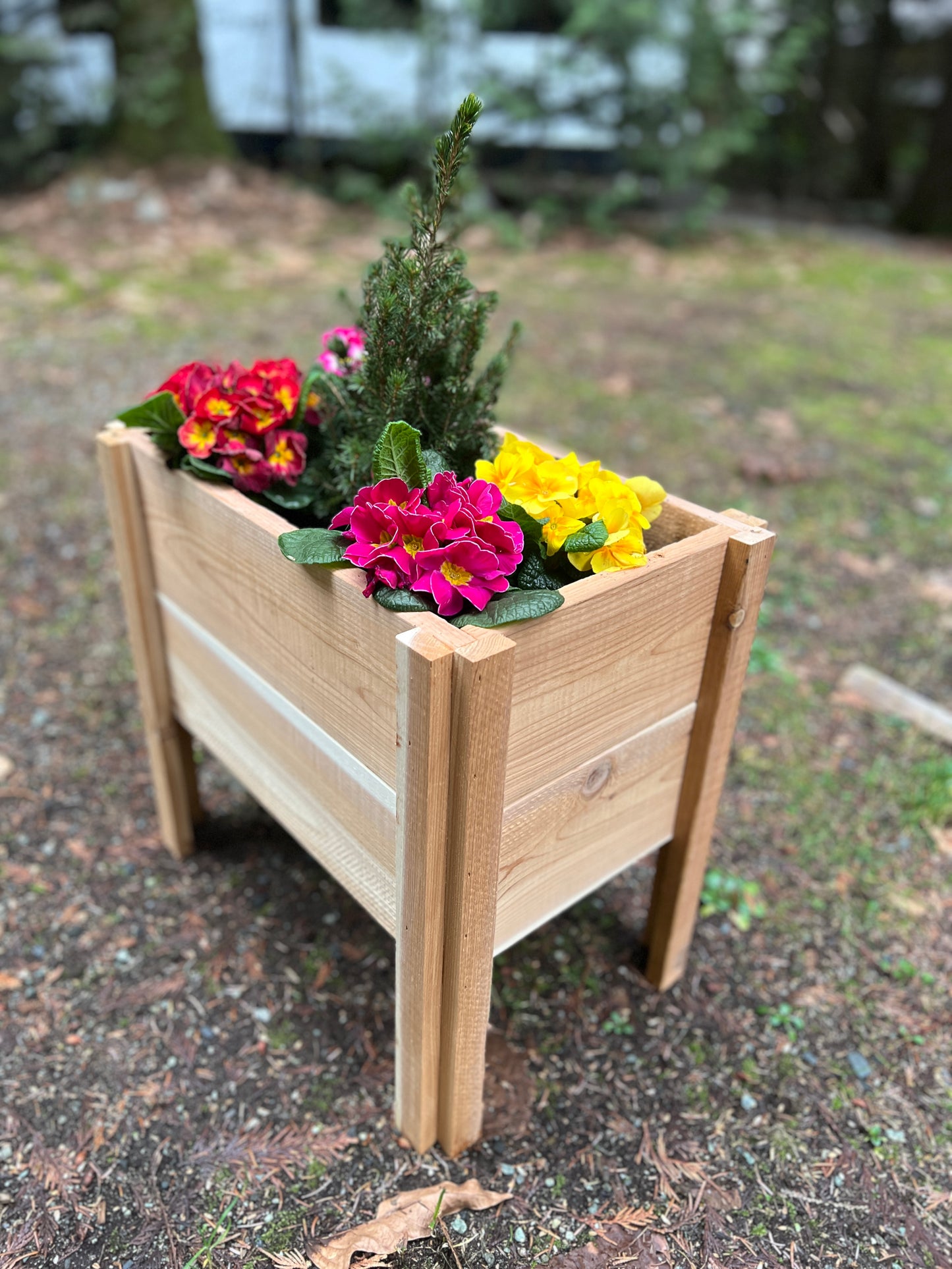 Custom Planter