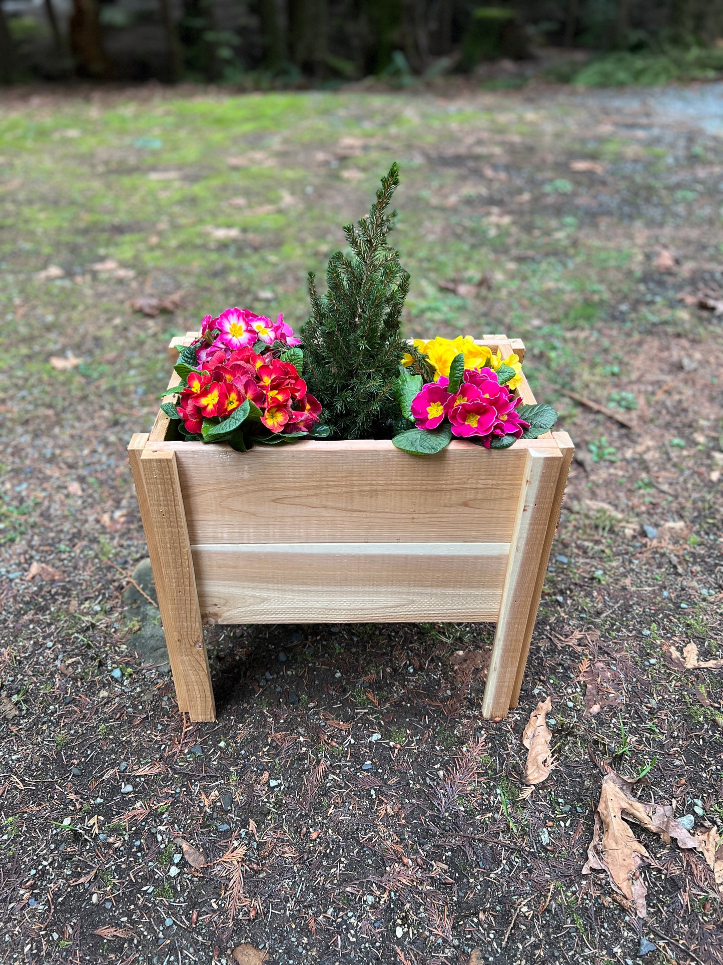 Small Raised Planter