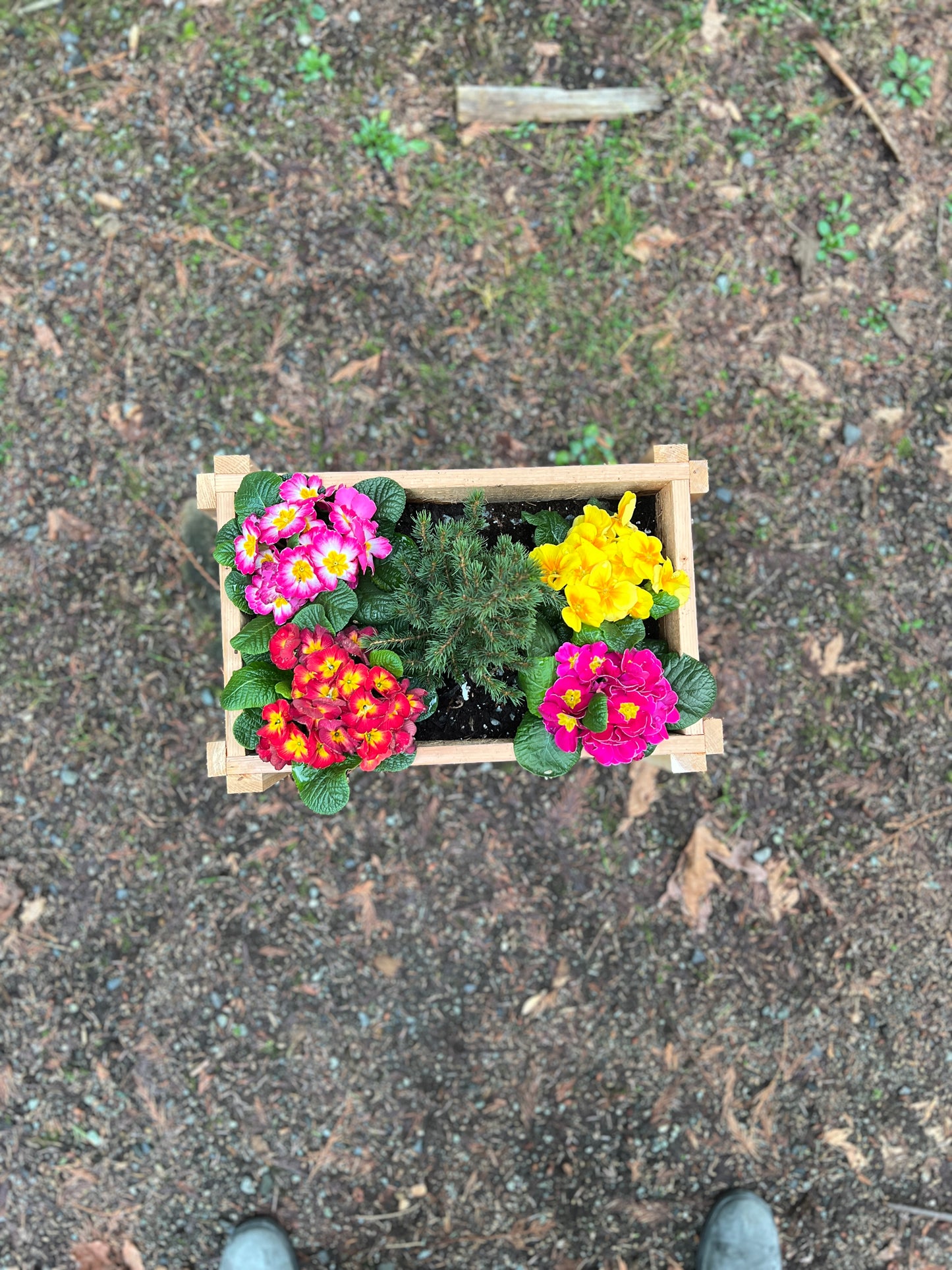 Small Raised Planter