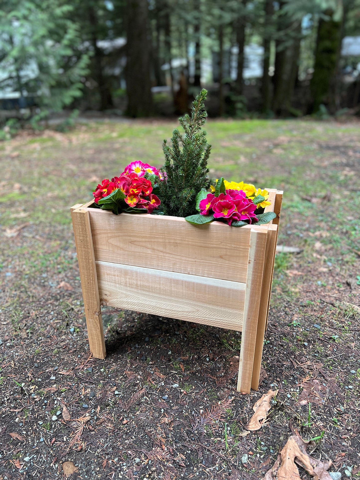 Small Raised Planter