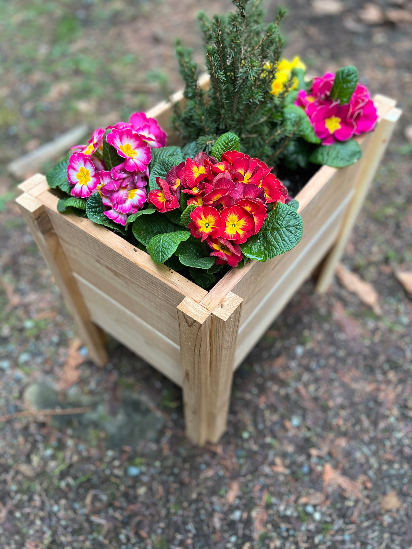 Small Raised Planter